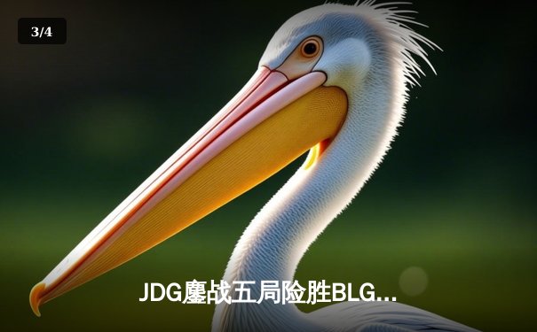 JDG鏖战五局险胜BLG，Knight沙皇关键推助队登顶LPL春决 - 3